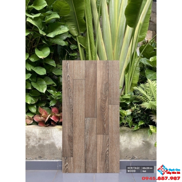 Gạch giả gỗ 60x120 ấn độ