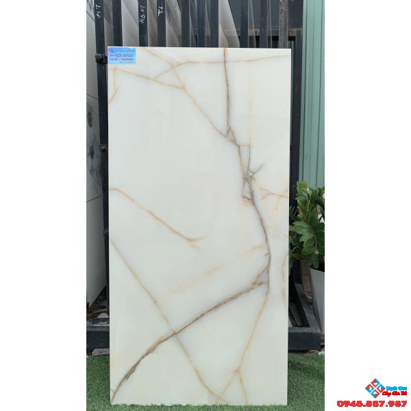 Đá bóng kiếng 60x120 ấn độ tại sài gòn