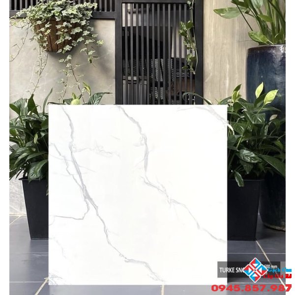 Gạch ấn độ 60x60 cao cấp Q1