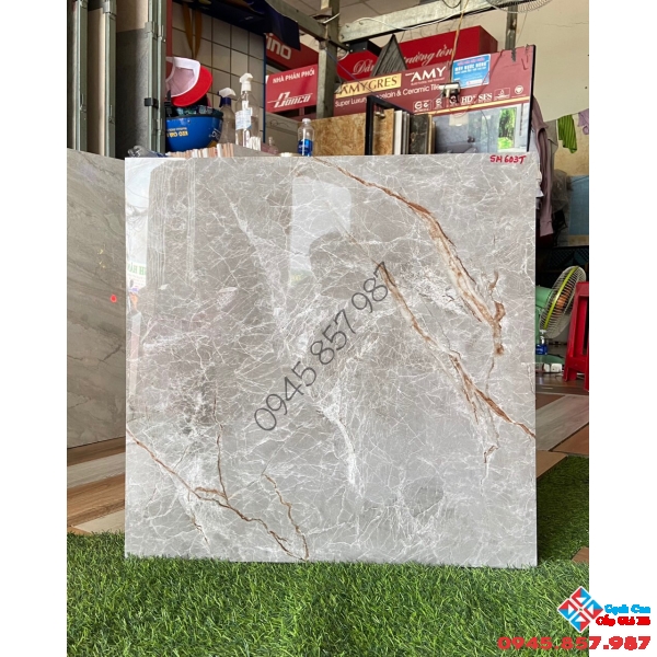 Tìm mua gạch bóng kiếng ấn độ 60x60 giá tốt ở đâu tại hcm