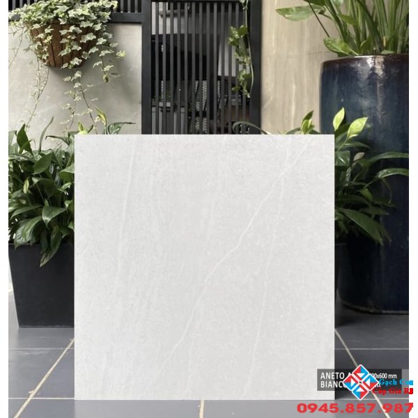 Gạch lát nền 60x60 ấn độ giá rẻ