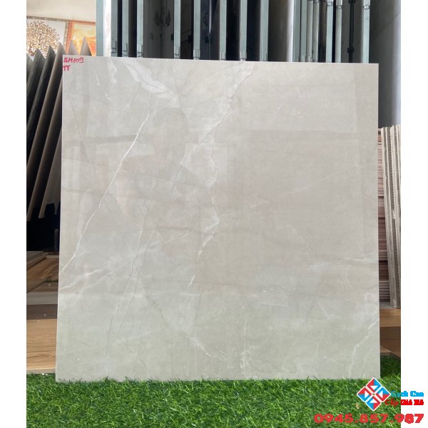 Gạch cao cấp ấn độ 60x60 bóng kiếng