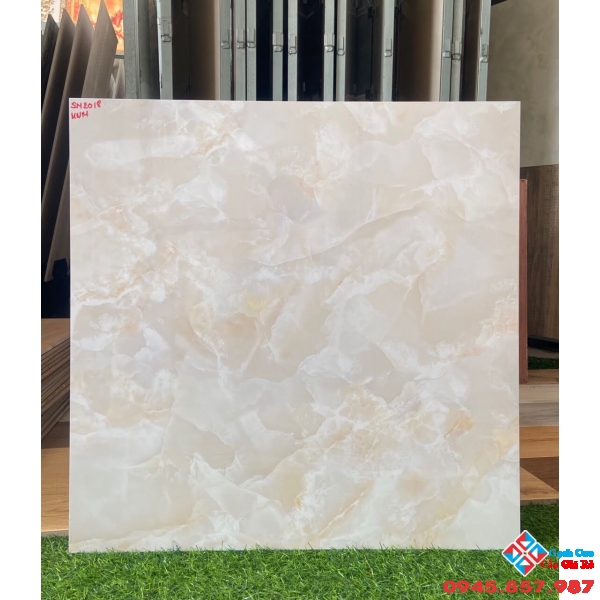 Gạch apodio 60x60