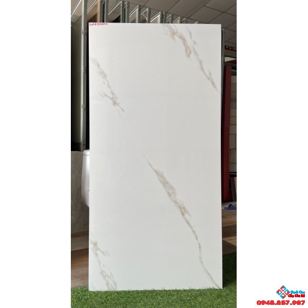 Gạch bóng kiếng ấn độ 60x120 giá rẻ hcm