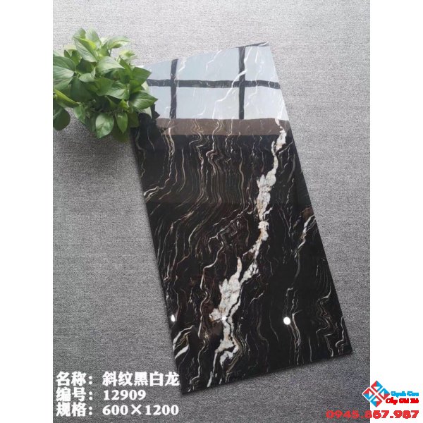 Gạch lát nền cao cấp 60x120 trung quốc đen vân trắng