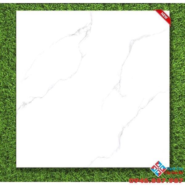 Gạch bóng kiếng giá rẻ 60x60 tại bình hưng