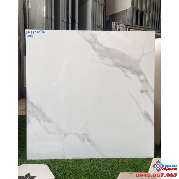Gạch lát nền giá tốt 60x60