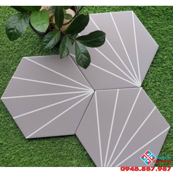 Gạch bông lục giác cao cấp