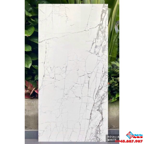 Gạch khổ lớn ấn độ 80x160 bóng kiếng