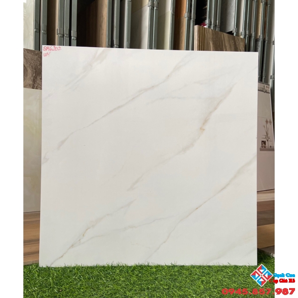 Gạch bóng kiếng giá rẻ 60x60 bình chánh