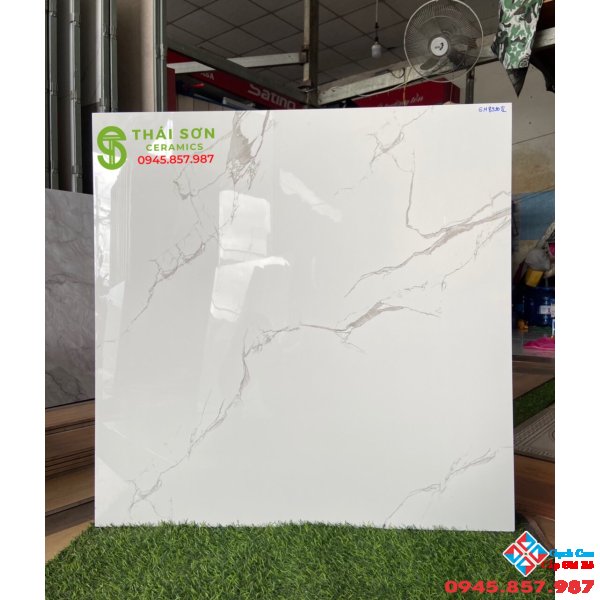 Giá gạch lát nền Tasa 80x80 bóng kiếng