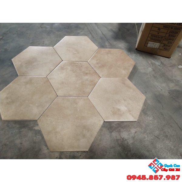 Gạch lục giác nhập khẩu