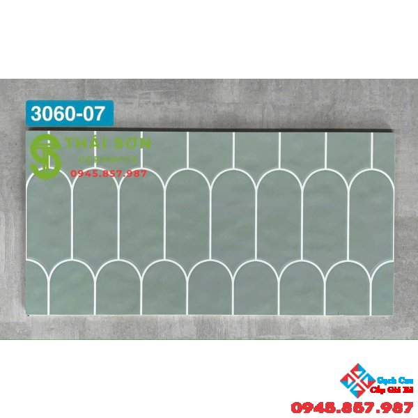 Gạch trang trí trung quốc 30x60 men bóng lông vũ 