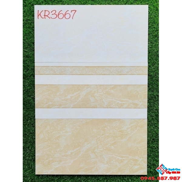 Gạch ốp tường men bóng 300x600 cao cấp tại bến tre