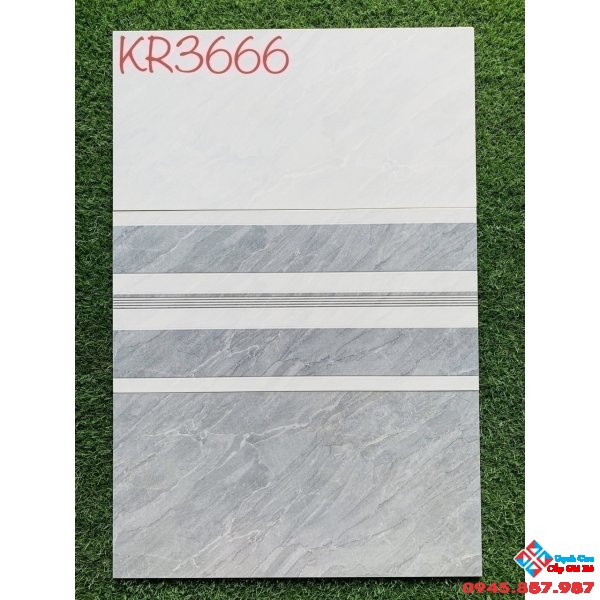 Gạch men ốp tường 30x60 cao cấp giá rẻ vĩnh long