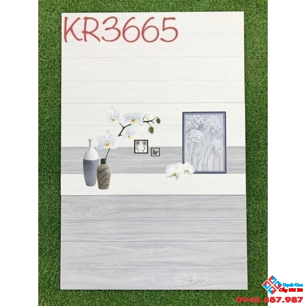 Gạch ốp tường 30x60 giá rẻ hà thanh