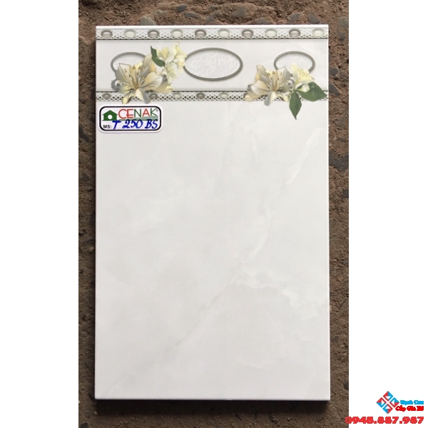 Gạch ốp tường giá rẻ 25x40