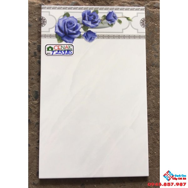 Gạch ốp tường 25x40 giá rẻ
