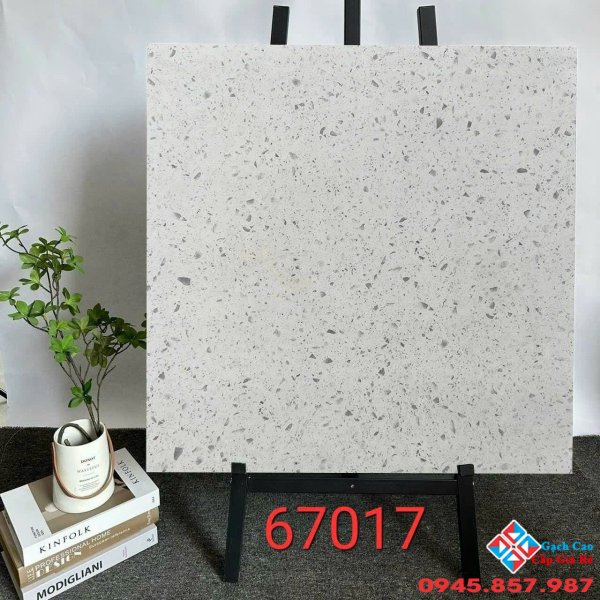 Gạch lát nền trung quốc 60x60 terrazzo