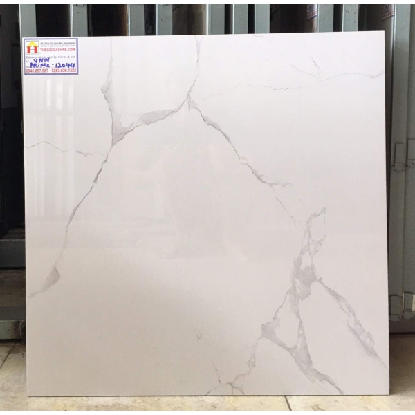 Gạch lát nền 60x60 primer cao cấp 12044