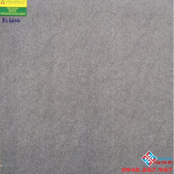 Gạch men mờ 60x60 viglacera BS6606