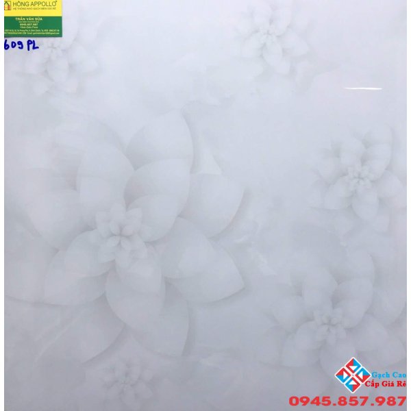 Gạch lát sàn 60x60 cao cấp giá rẻ 609