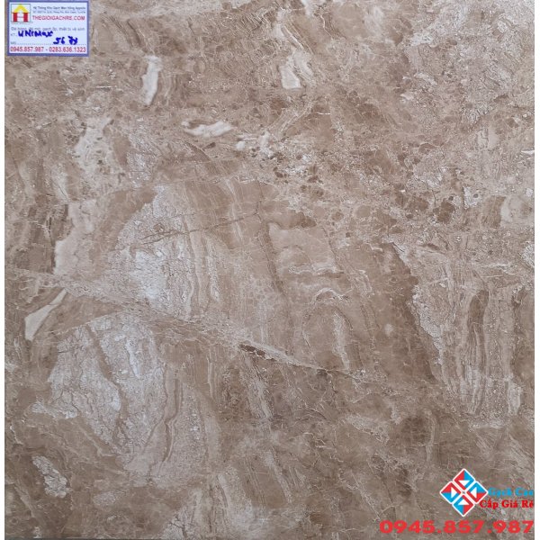 Gạch bóng kiếng 60x60 lát nền  5673