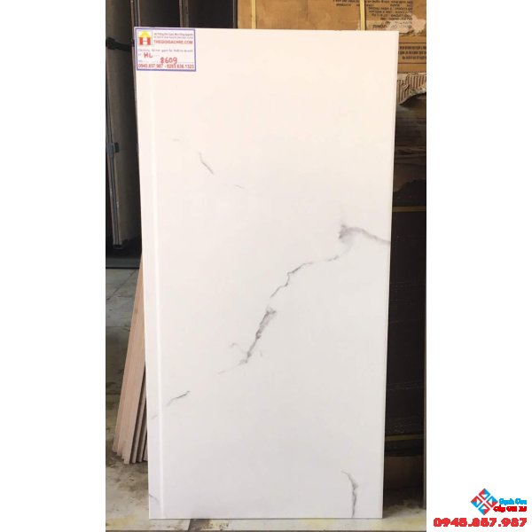 Gạch cao cấp 40x80 ốp tường 8609