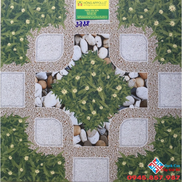 Gạch sân vườn 50x50 vitto giá rẻ 3788