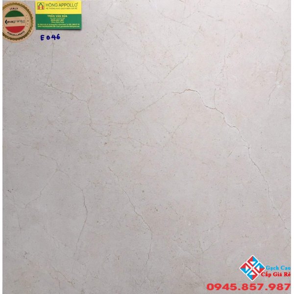 Giá gạch lát nền 60x60 nhập khẩu E046